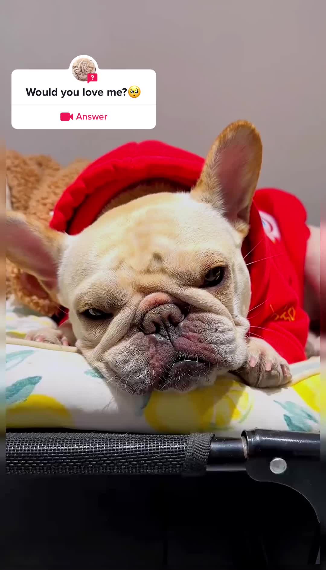 @gofrenobh5f