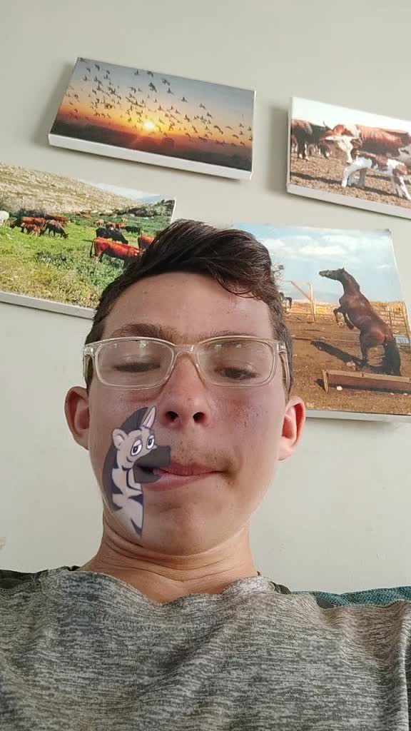 @ארז שחר