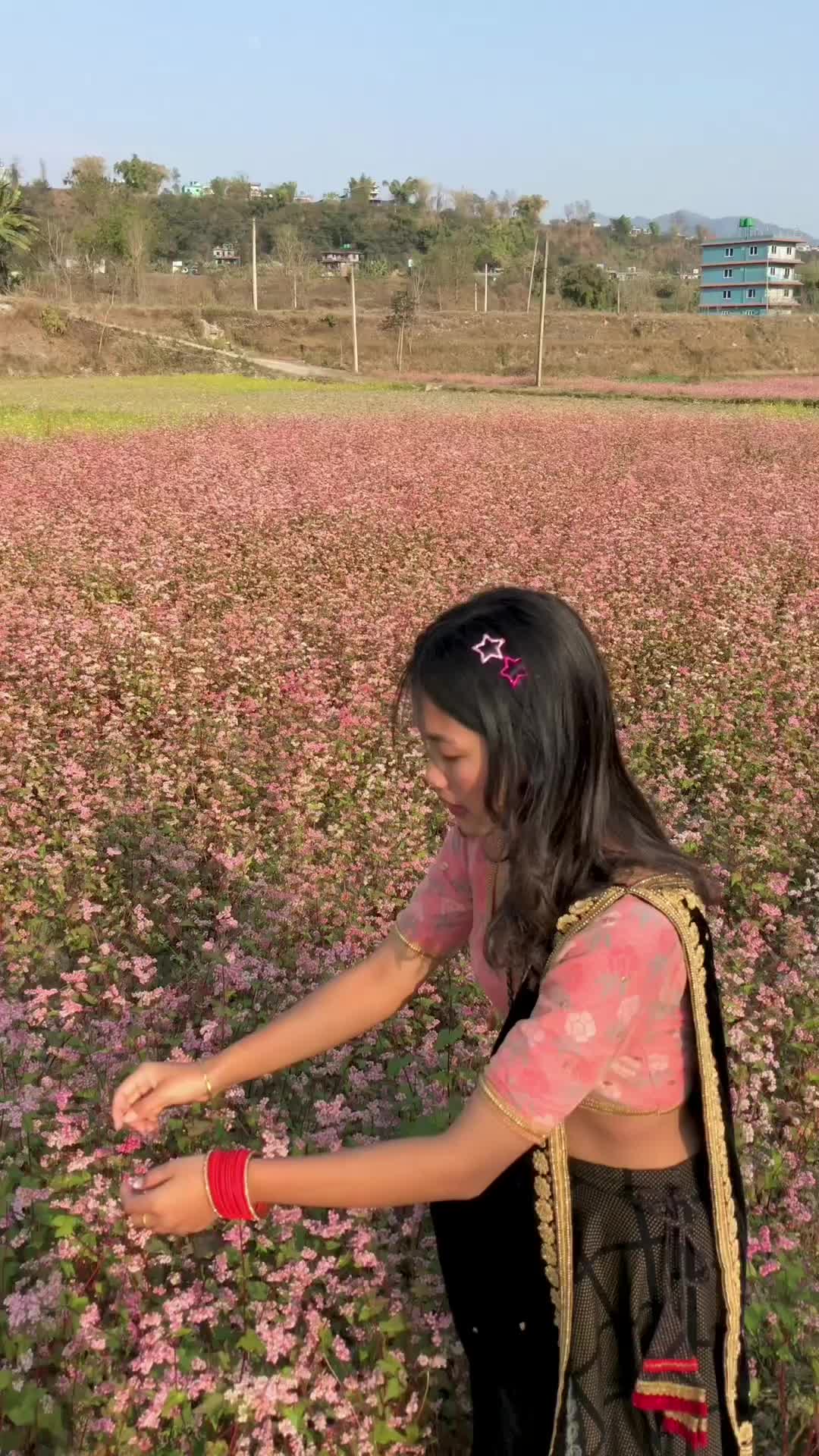 @user206085