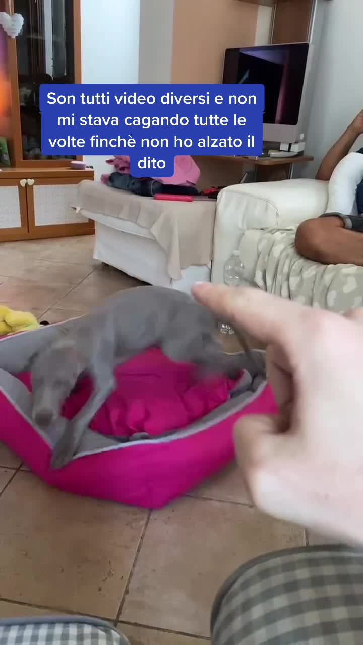 @Simone Bertoldi