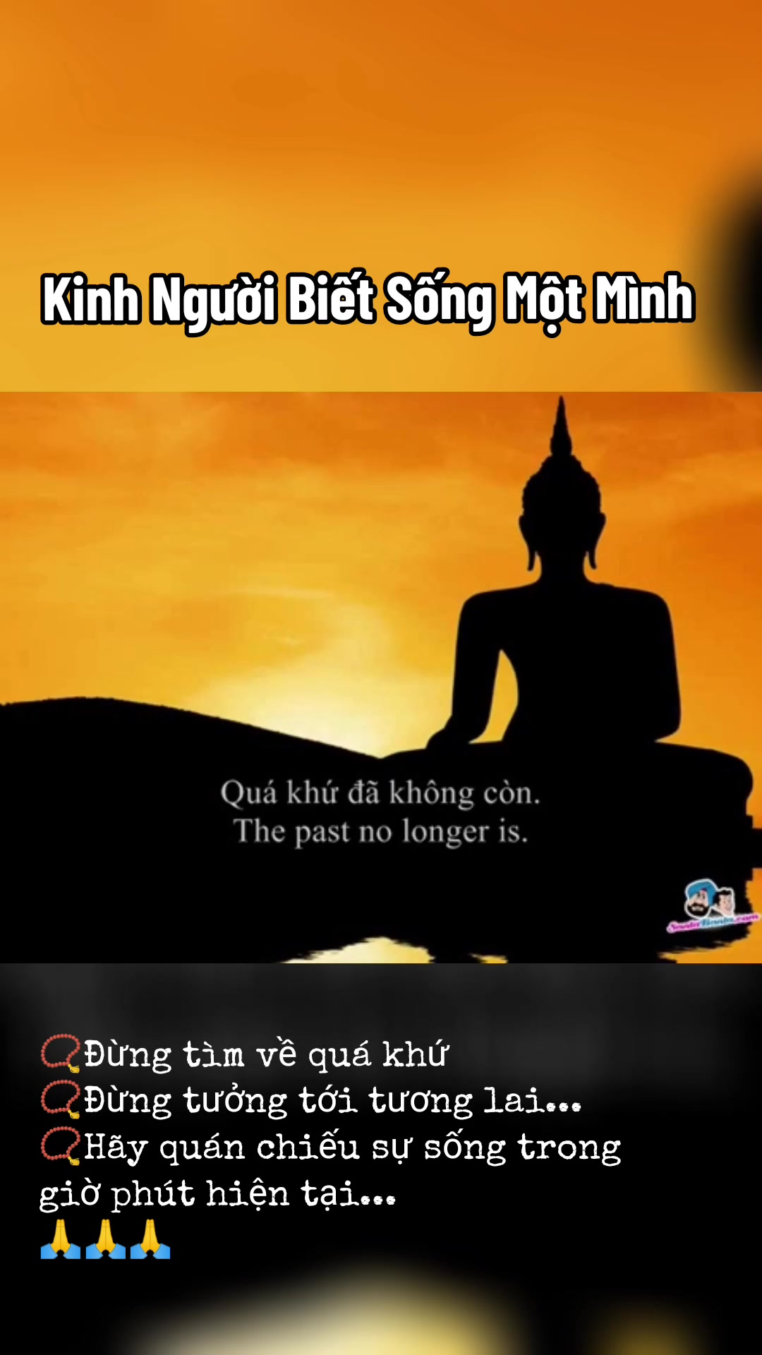 @🍃Theo Bước Ch&acirc;n Phật