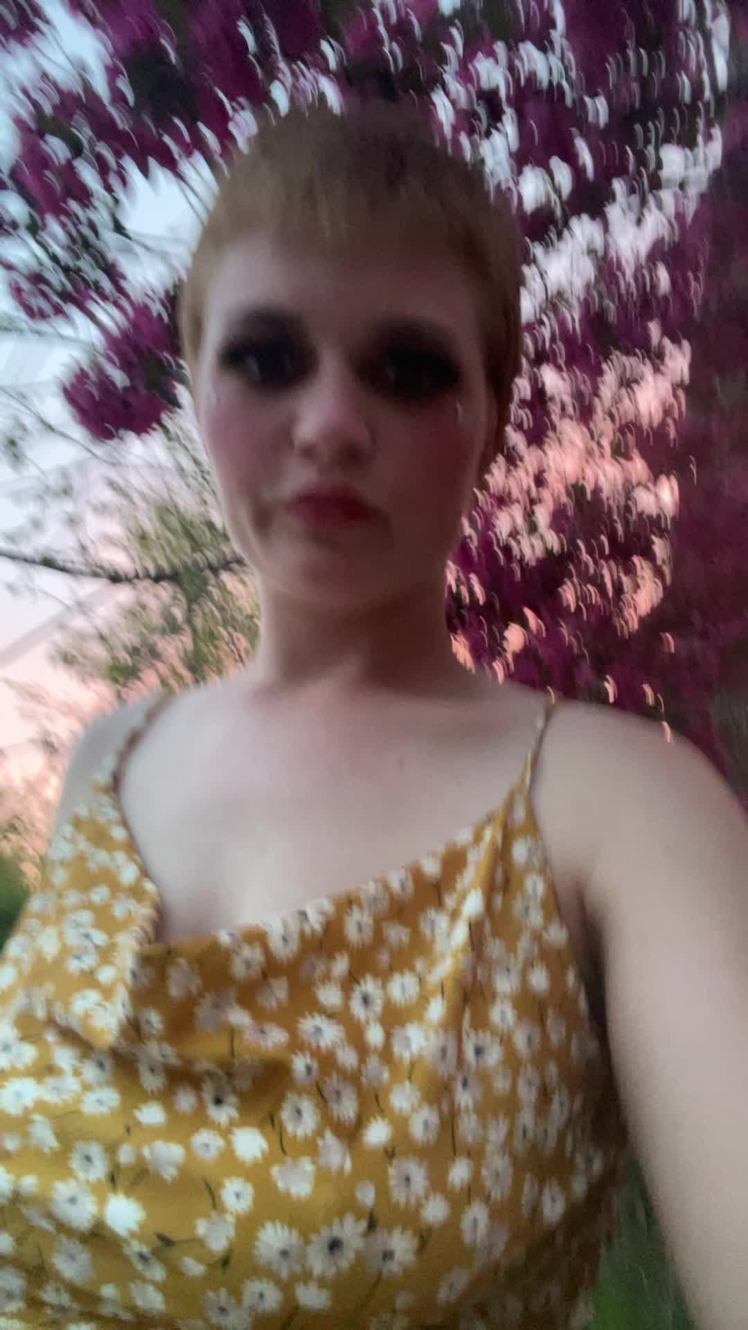 @Shrekordie