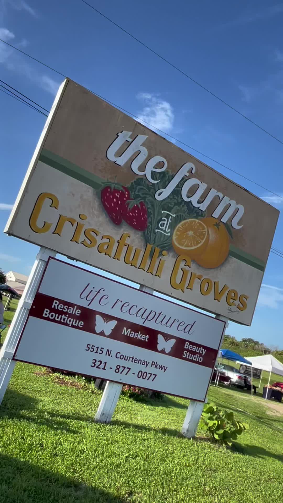 @Vibes, The Fruit Spot