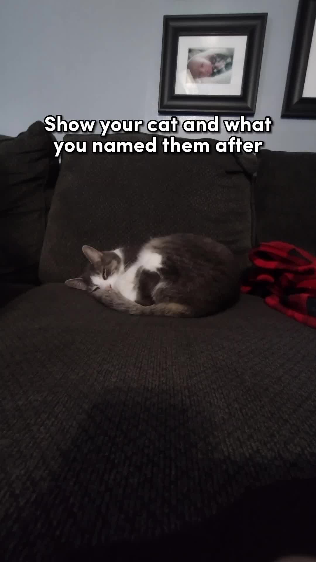 @HellPrince