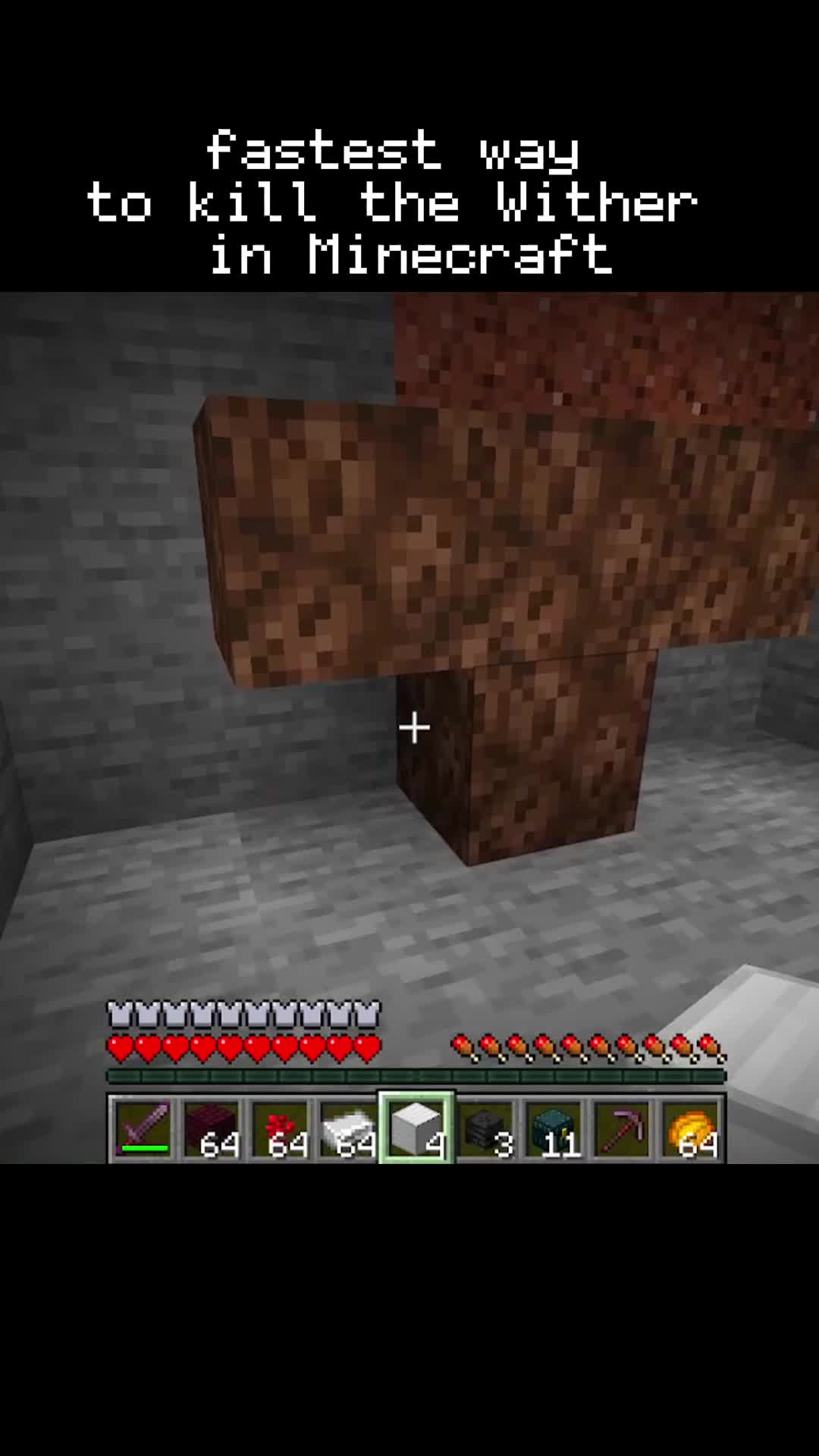 @MinecraftTipsAndTricks