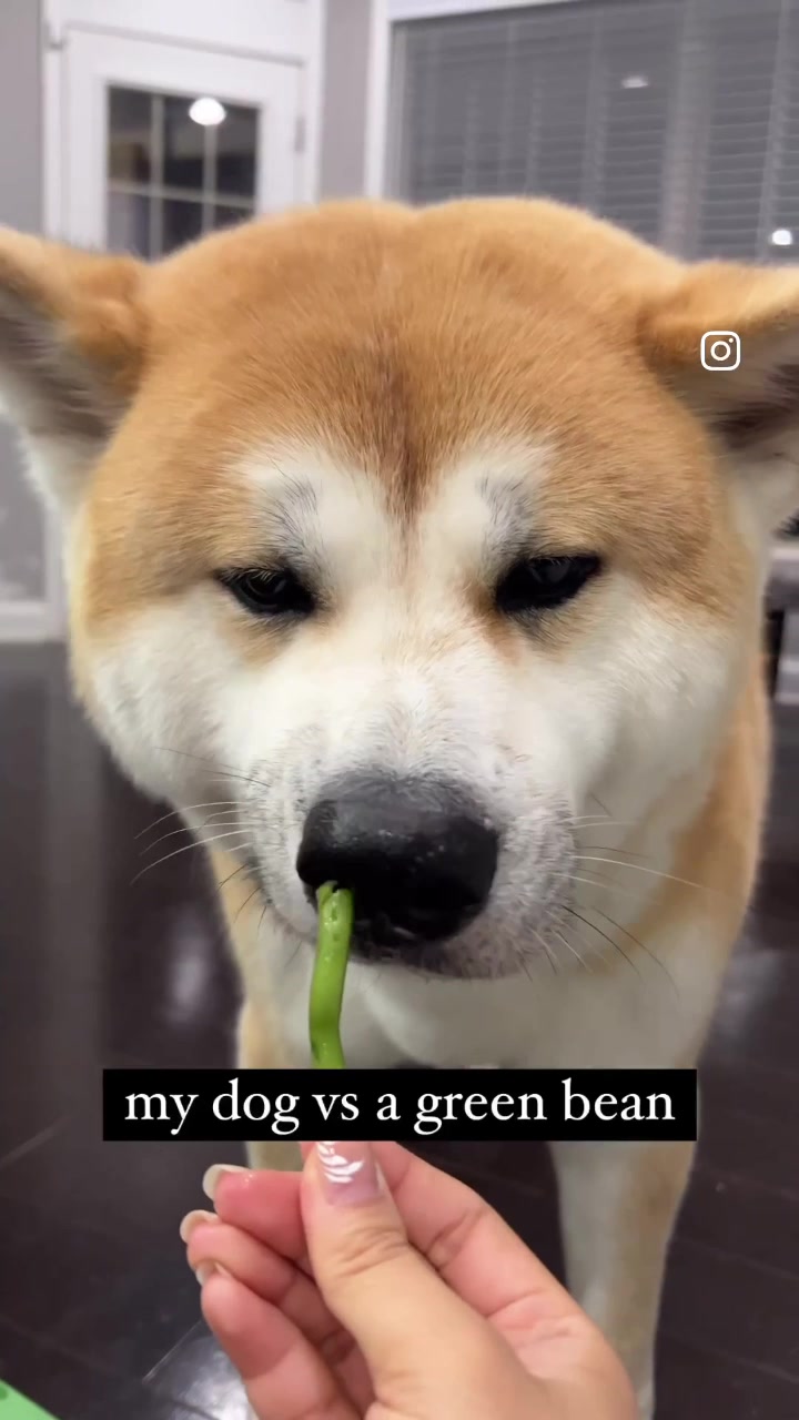 @Yuki