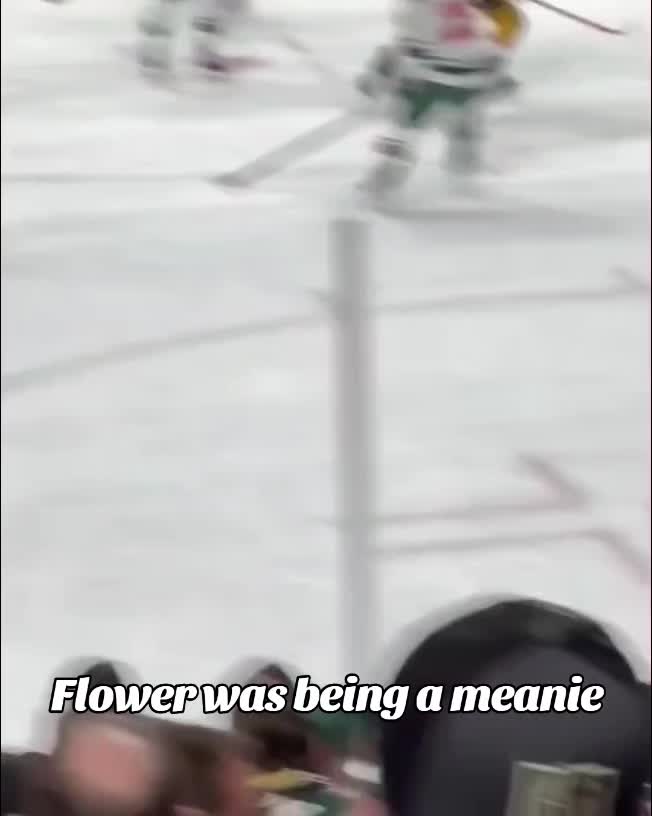 @vgkgoaliegirl🏒