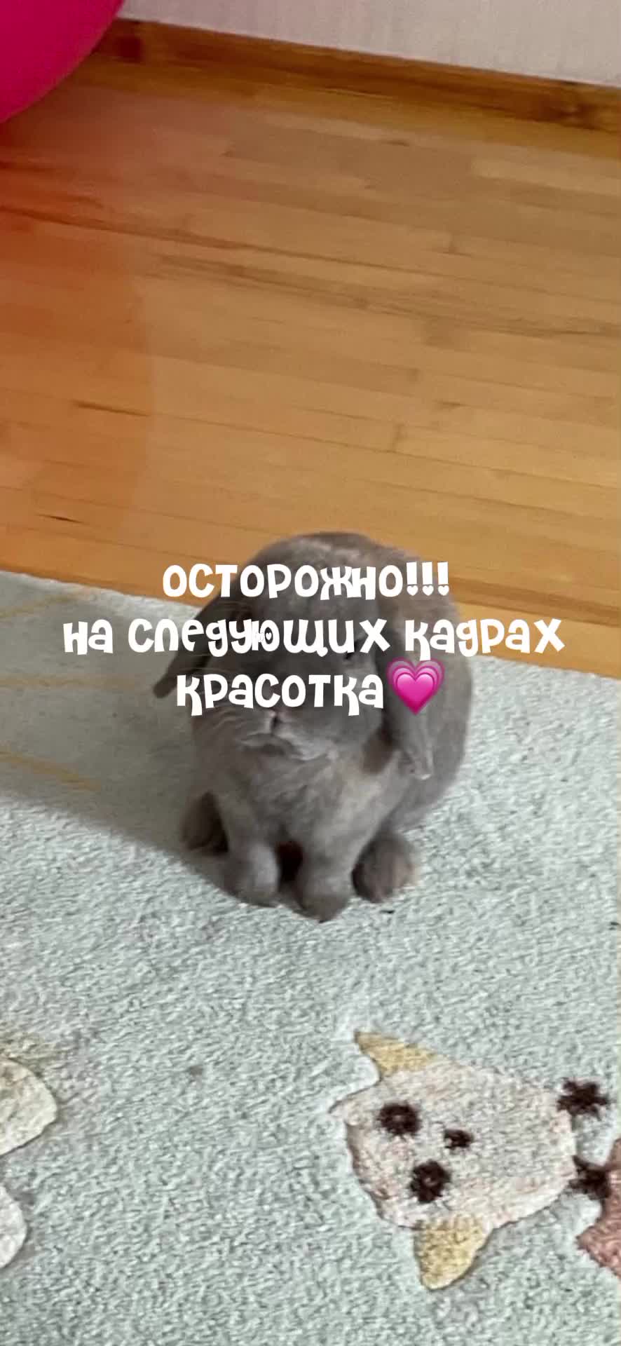 @toka.storsss