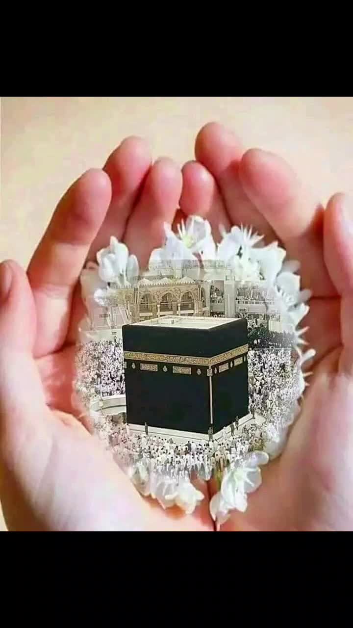 @زورا حسن