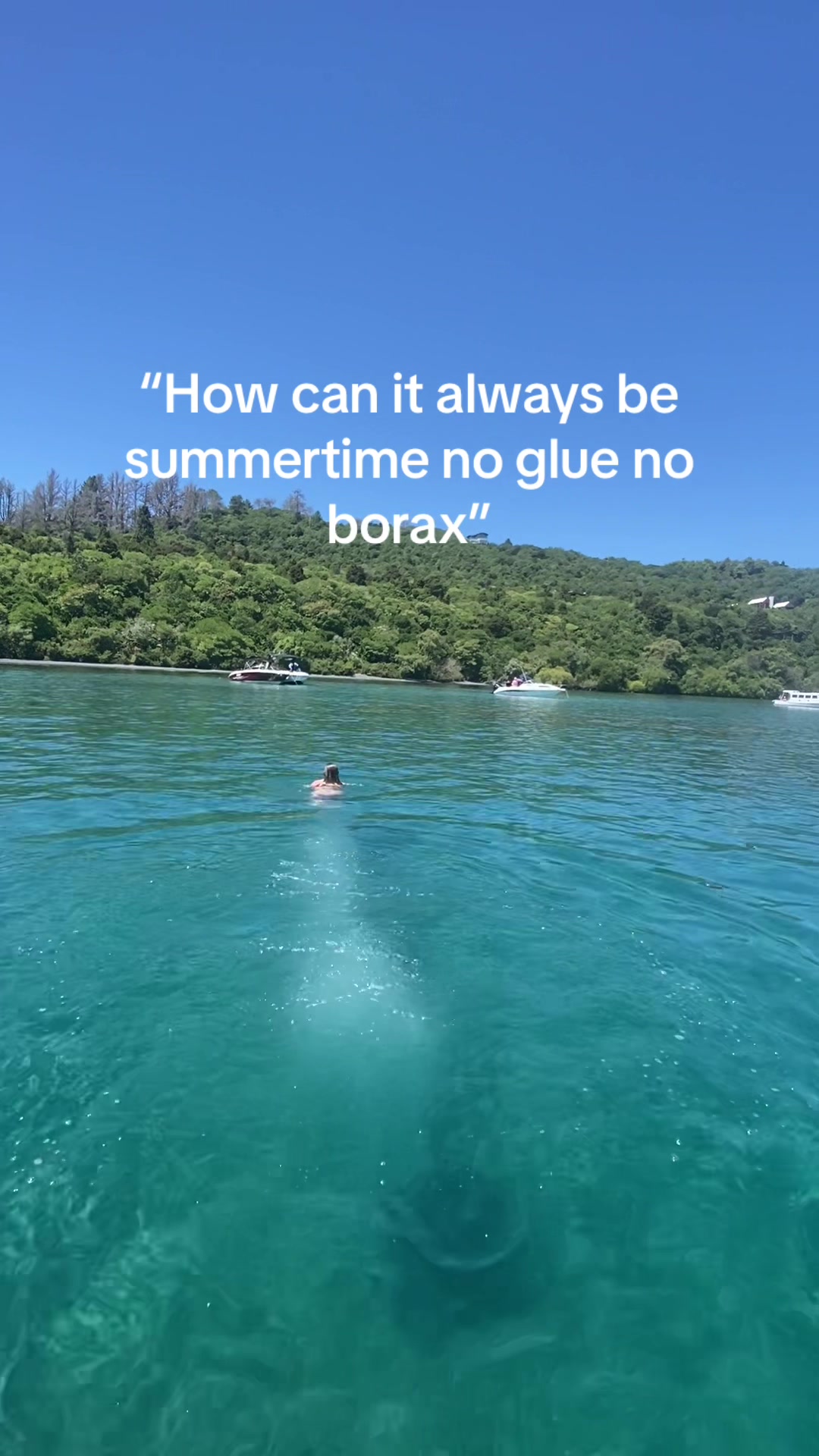 @🤿🌊🌺🐚☀️🦭