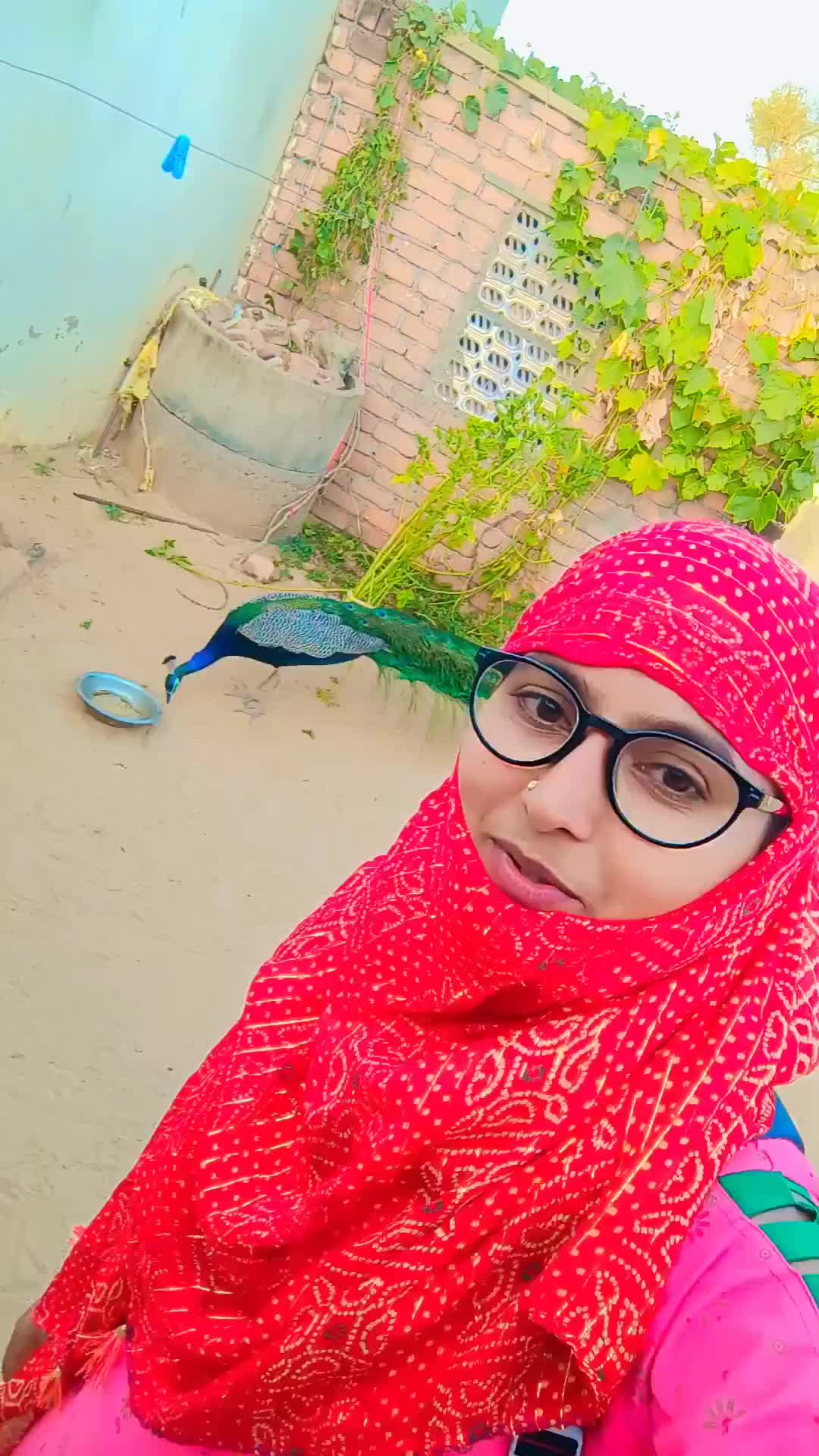 @rajsthanijhalak
