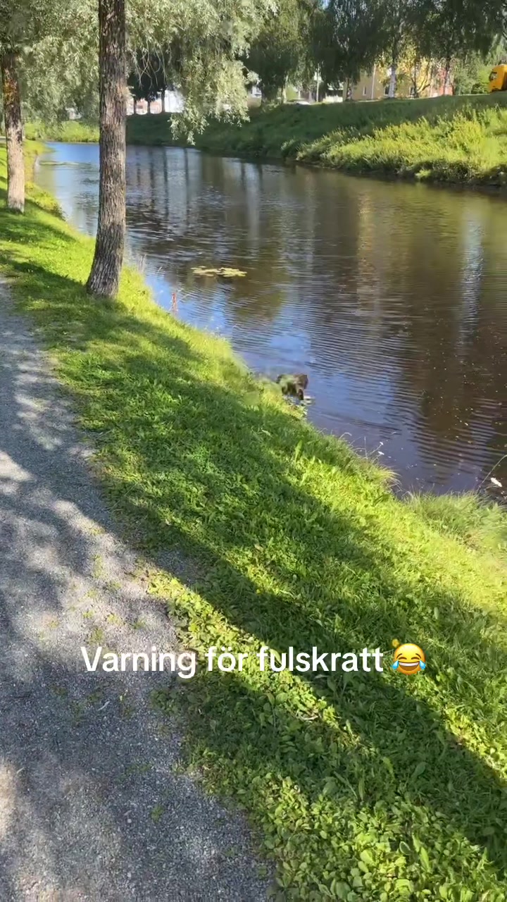 @Hanna Nordgren