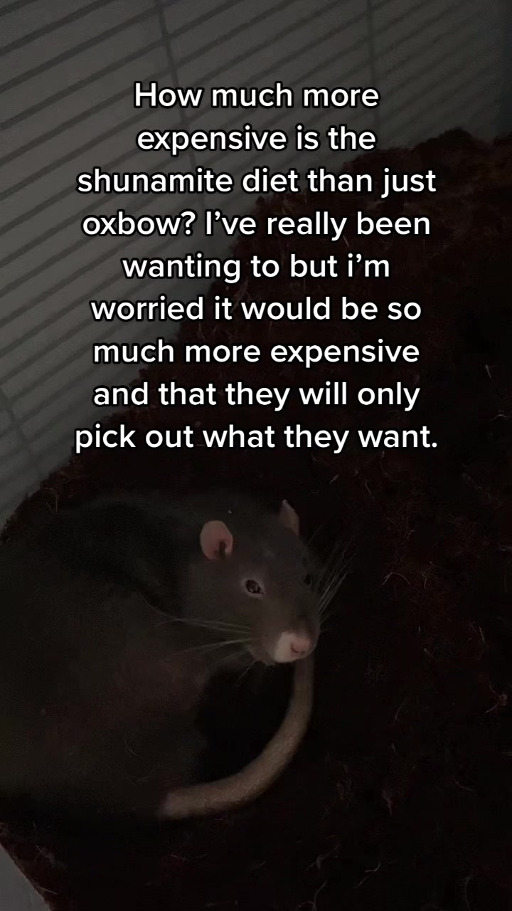 @Mini Mischief