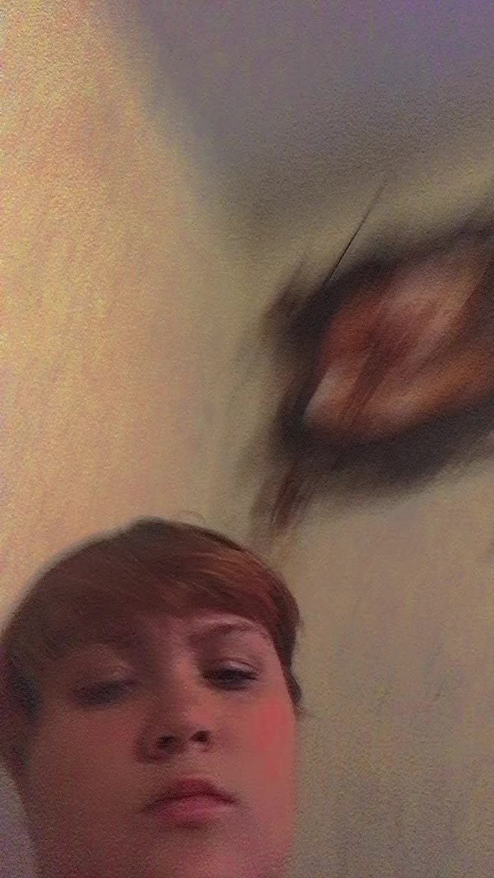 @Nova