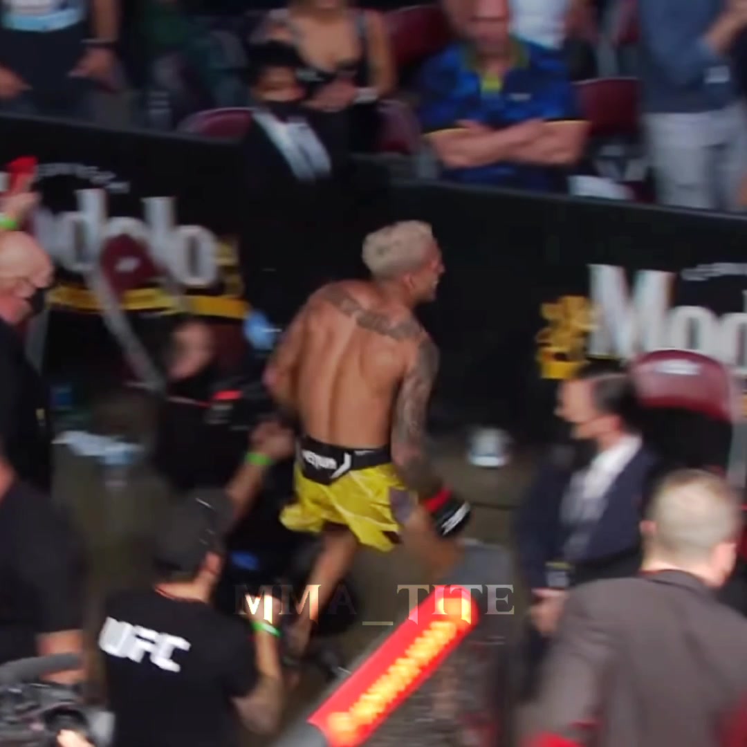 @mma_tite