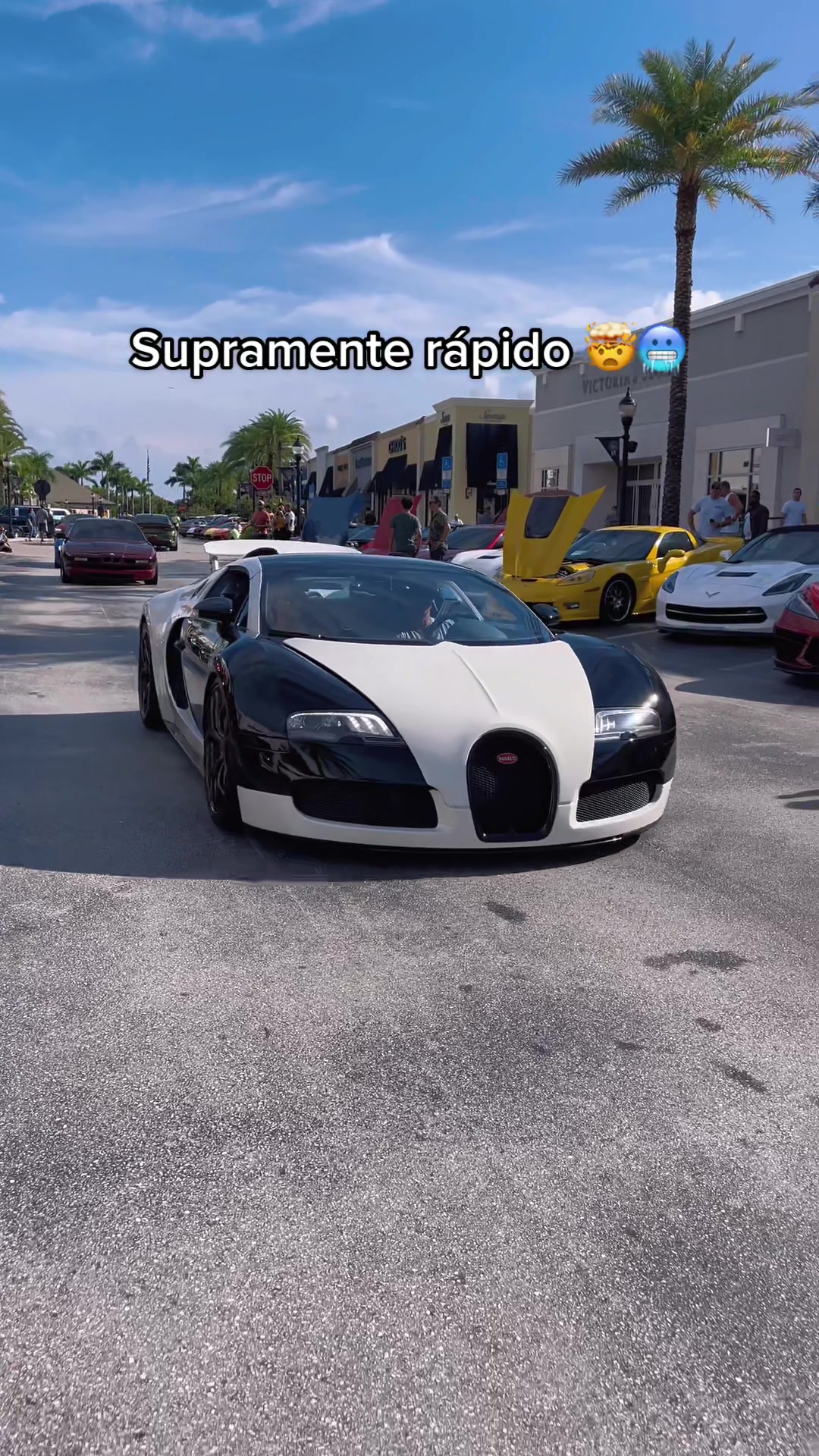 @marantawx