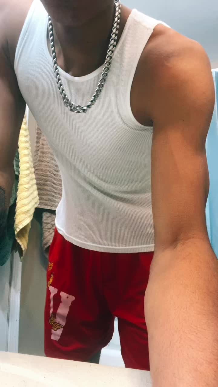 @Pitviporrob