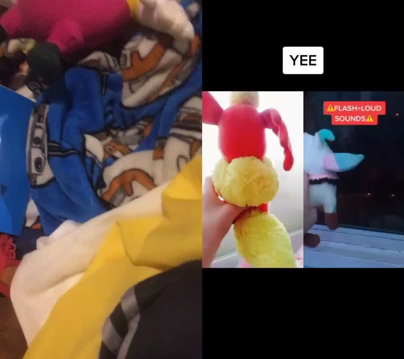 @codyplushproductions