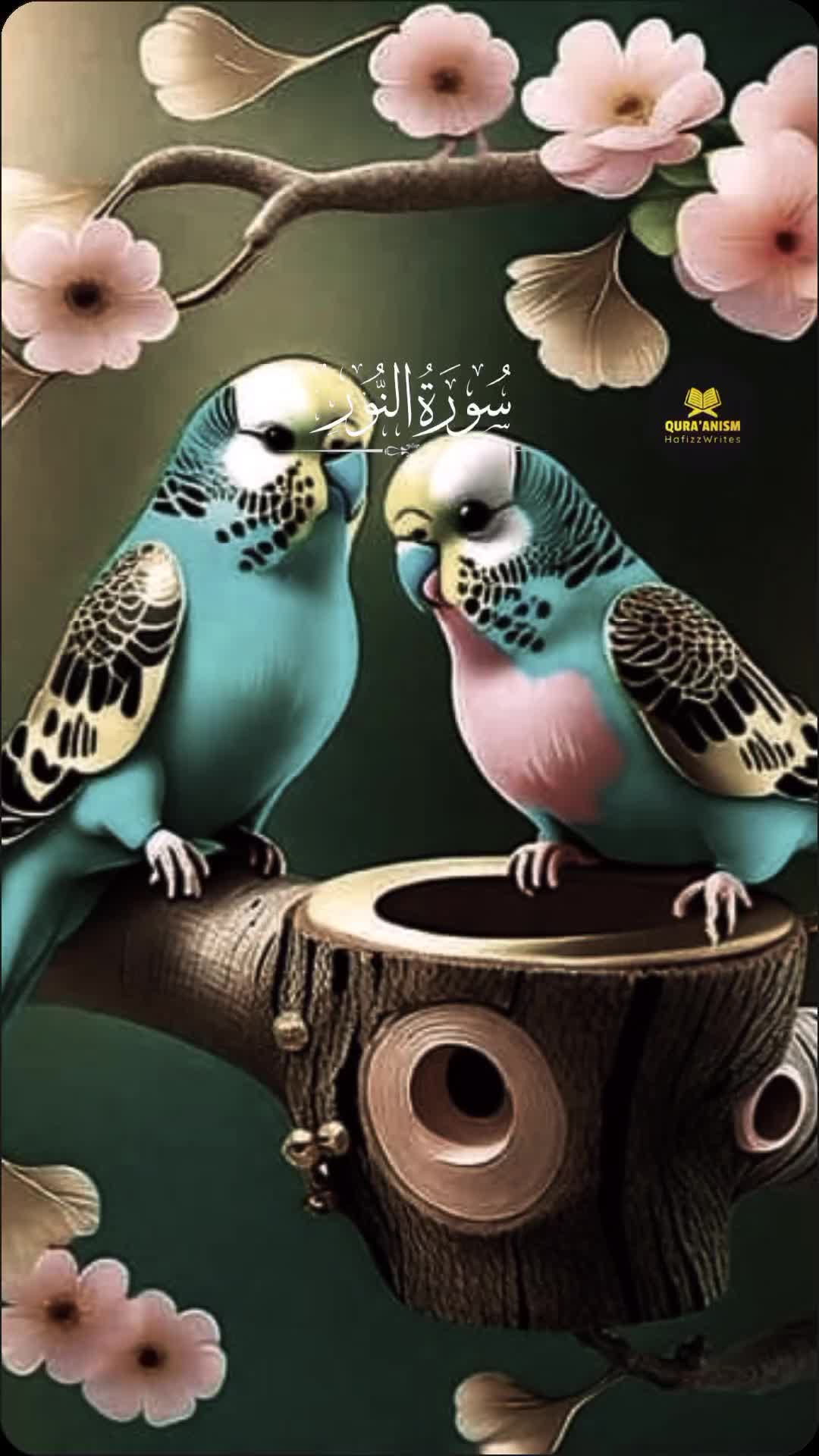 @zulfiqar Ali