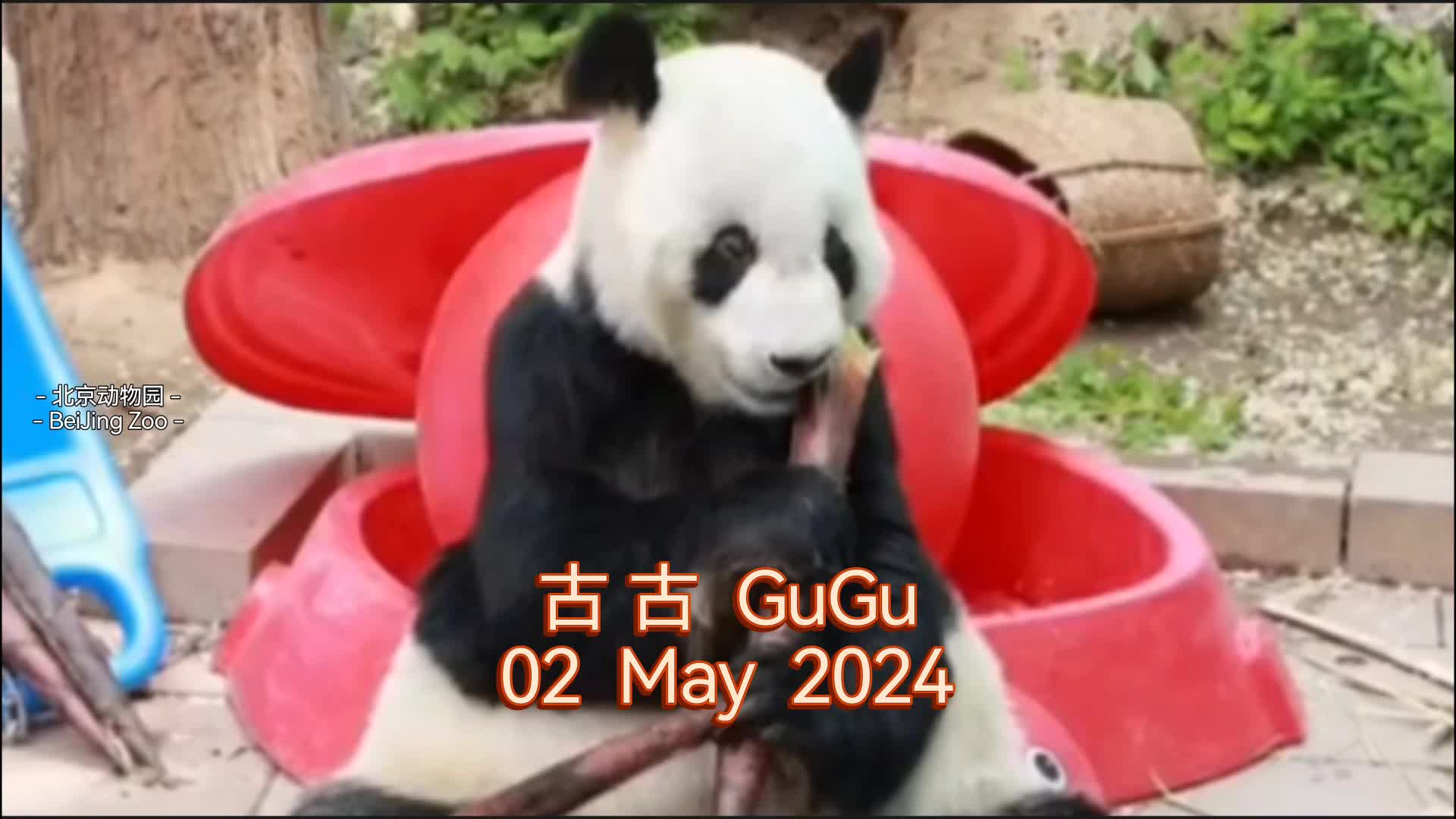 @絲祤🐒⁰⁴⁰³