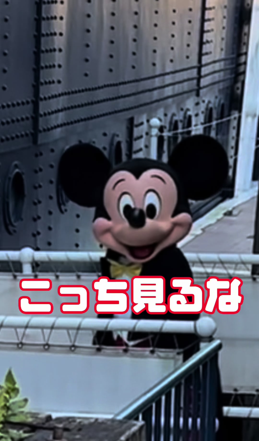 @しほたろう。