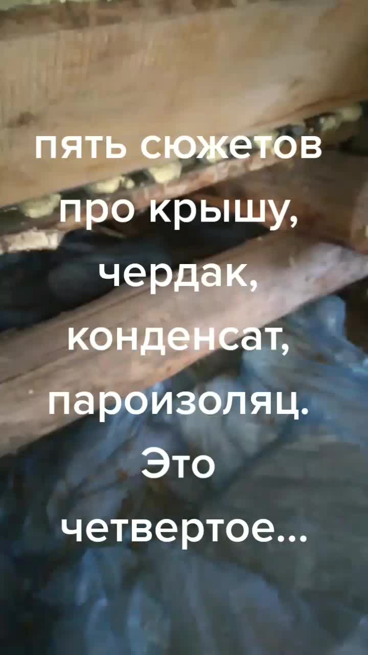 @life_vsele