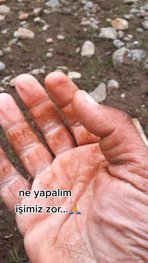 @yılmaz mustafa şen
