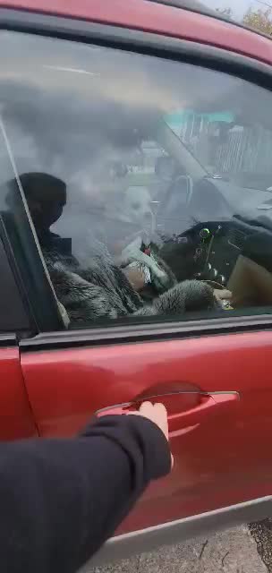 @kennykingsley125