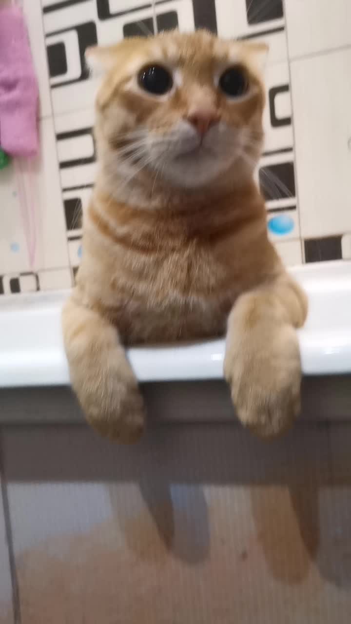 @Пбиджик