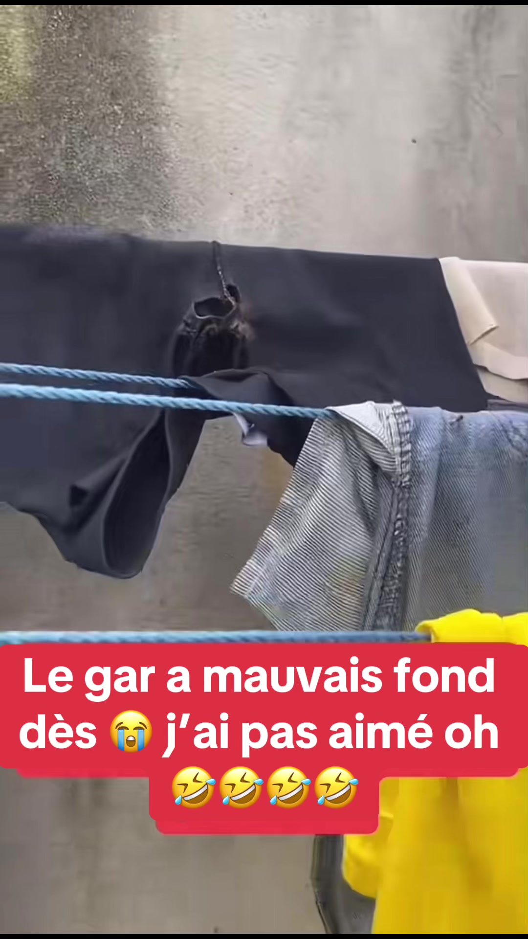 @LES_CHOSES_DU_META