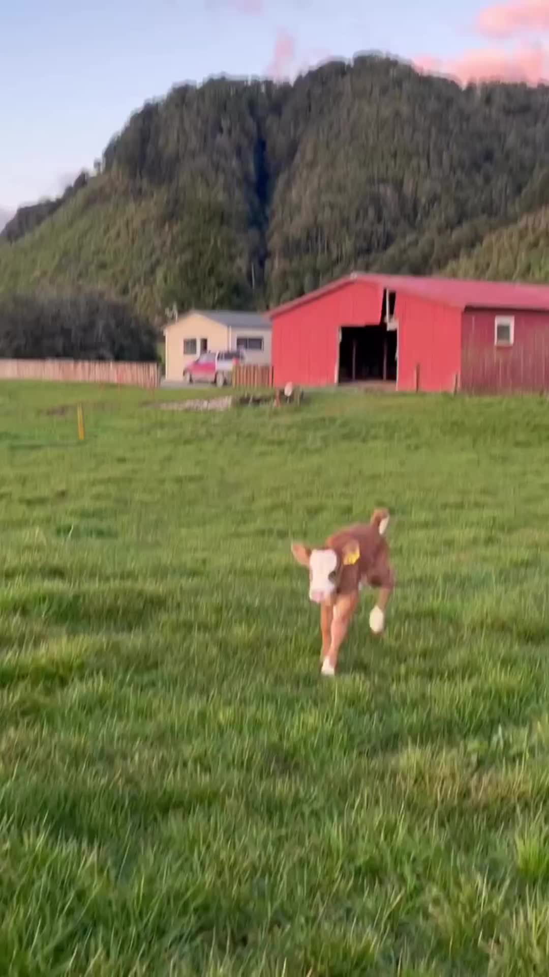@𝙆𝙖𝙧𝙙𝙚𝙣𝙞𝙯𝙏𝙪𝙧𝙞𝙯𝙢