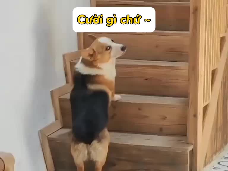 @clapclap