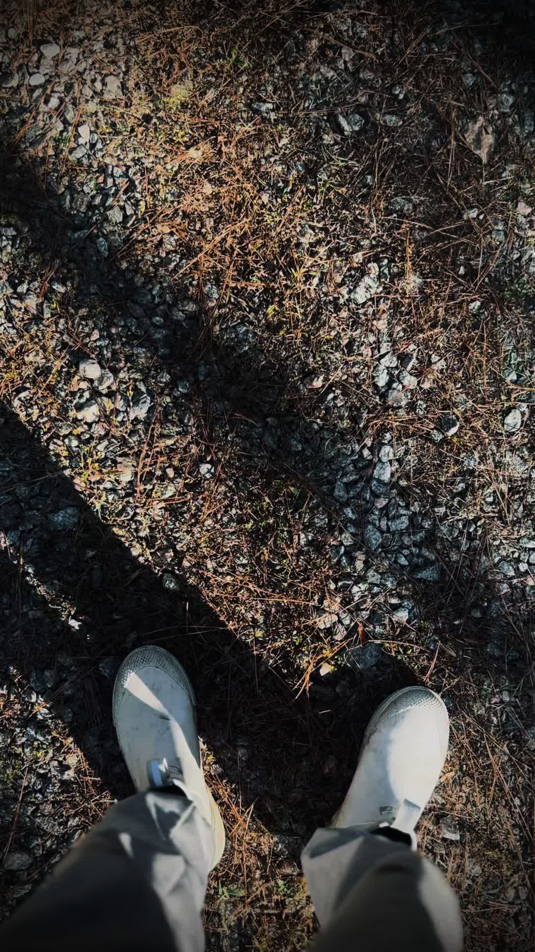 @Brandon Duty🦆