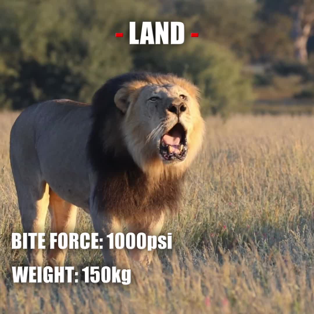 @man