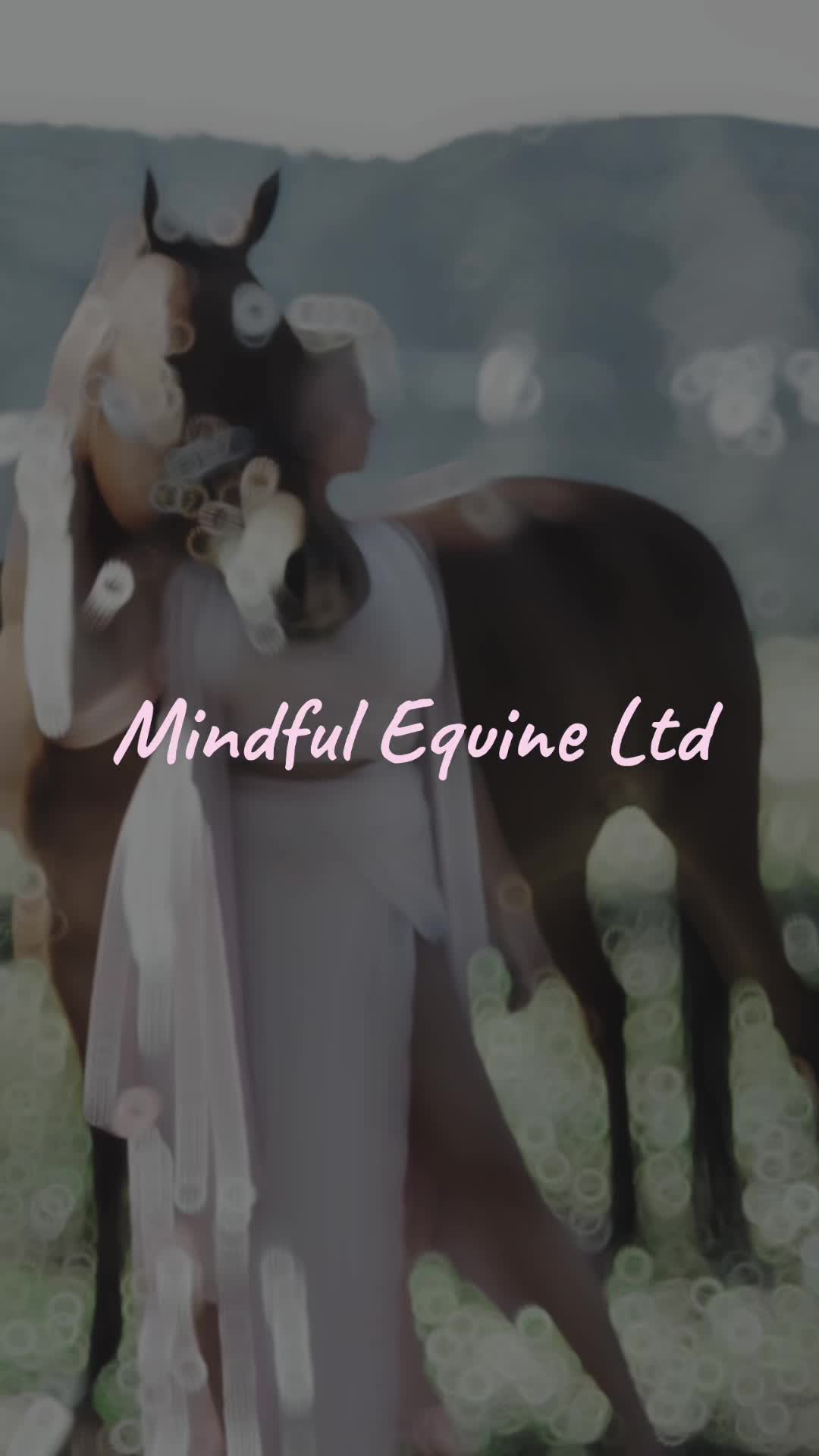 @Mindful Equine Ltd.