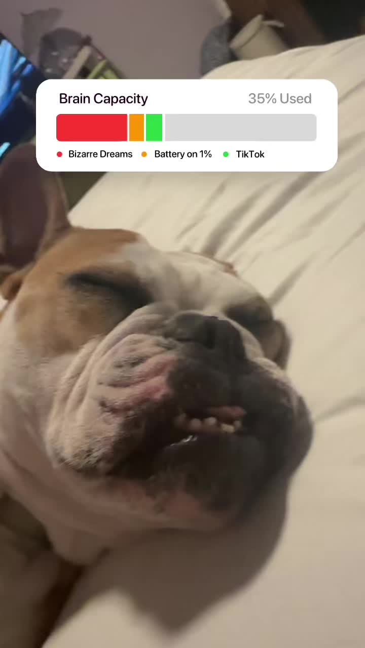 @Alyvia