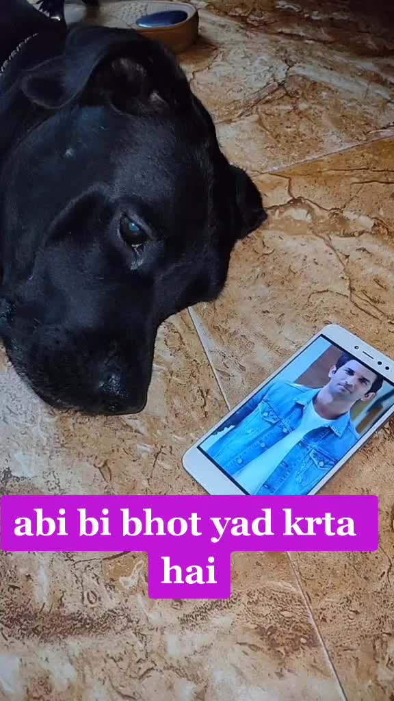 @Mahi Anand