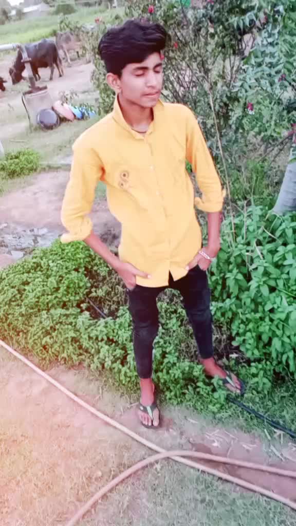 @Kiran thakor 367 ગૂપ