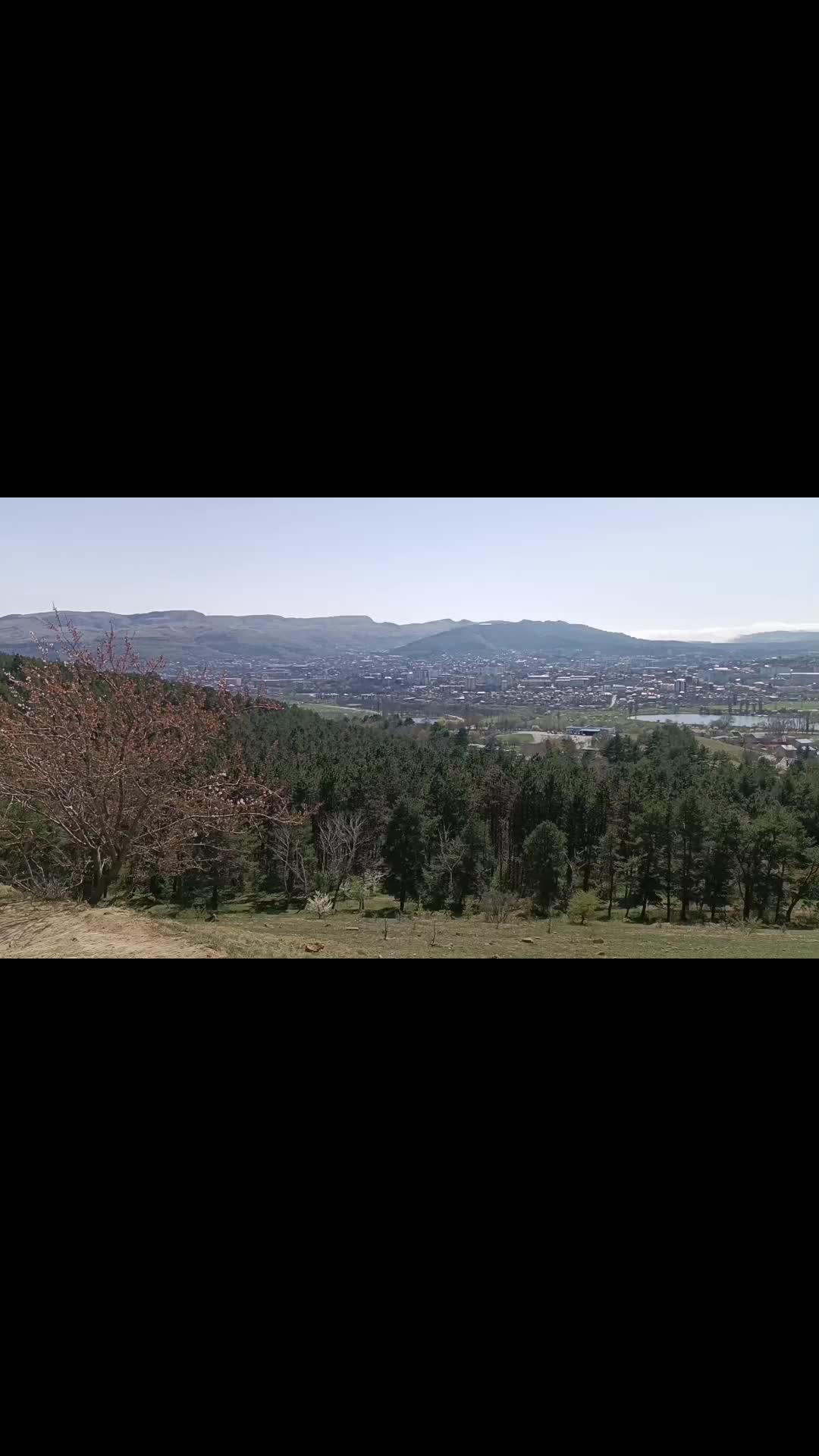 @zvukovik_89