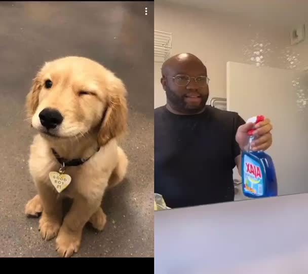 @jesuisunchienlol