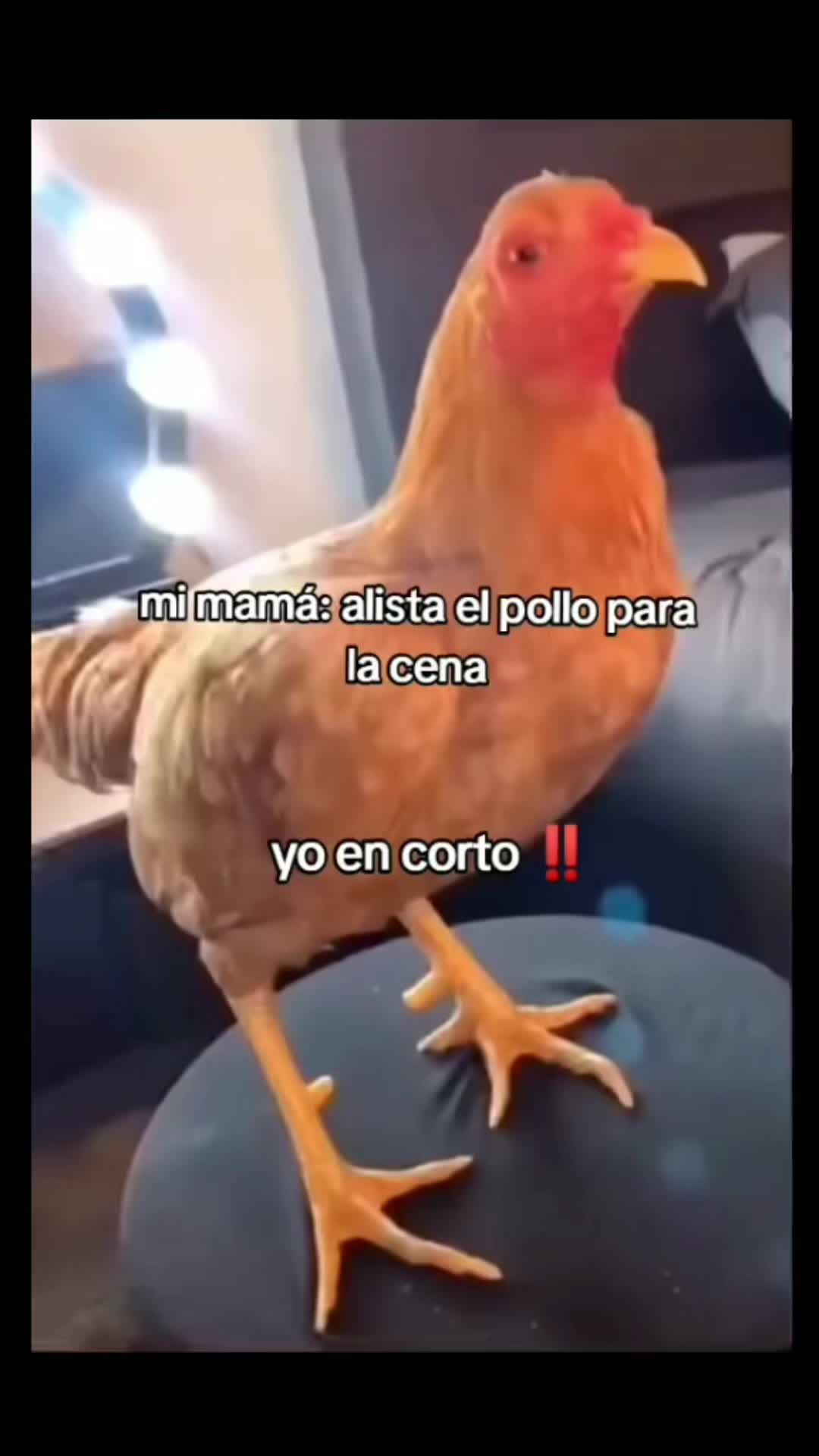 @Puras risas 😂