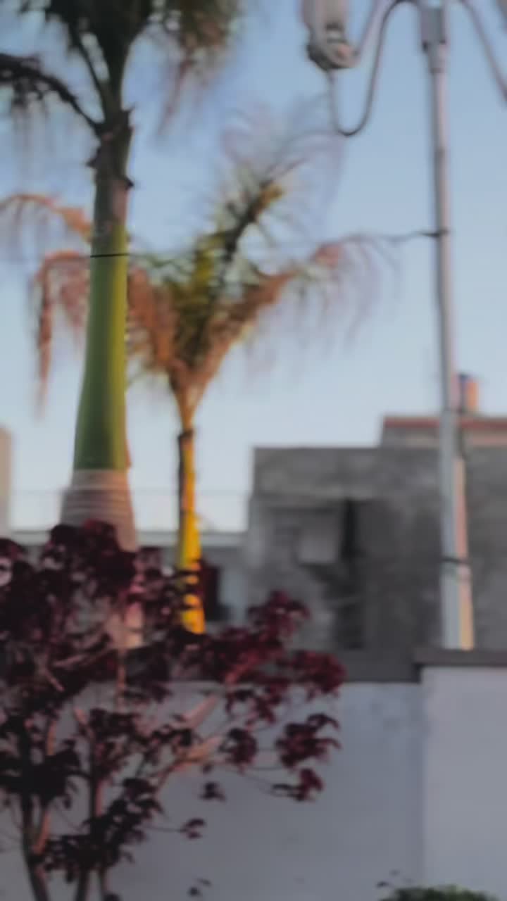 @فصیح بن عامر❤️