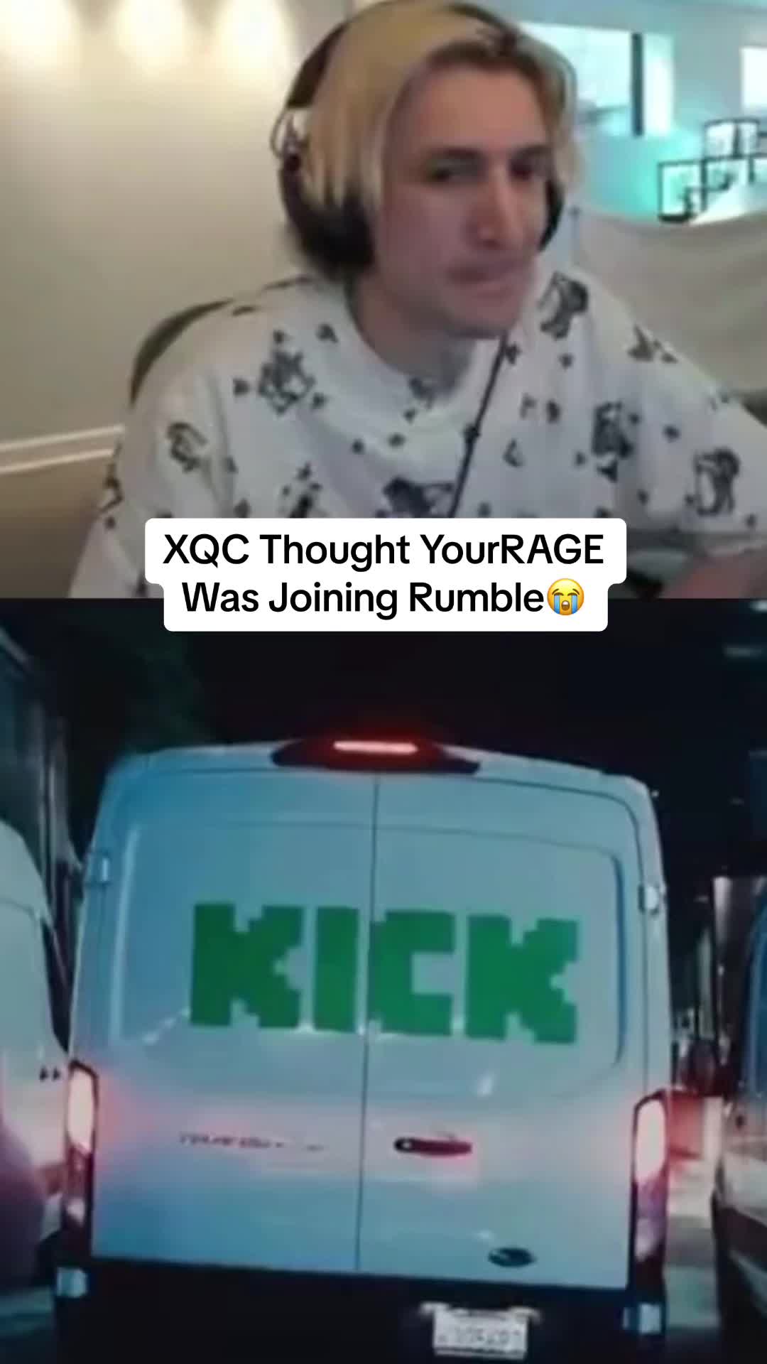 @dingo