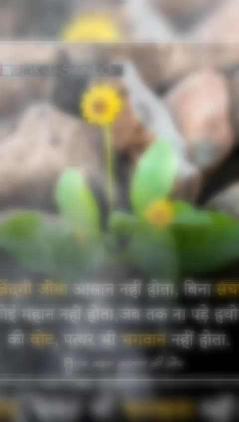 @Rajkumar Yadav