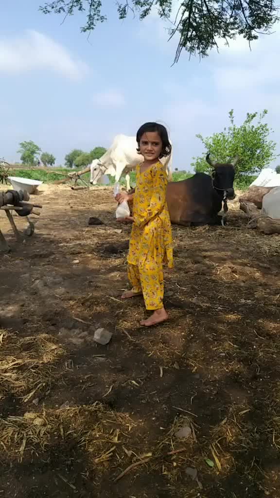 @Mohammadali Khan