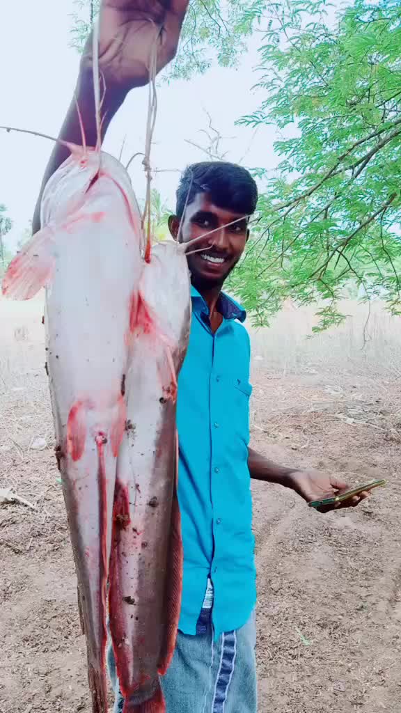 @singlesiva