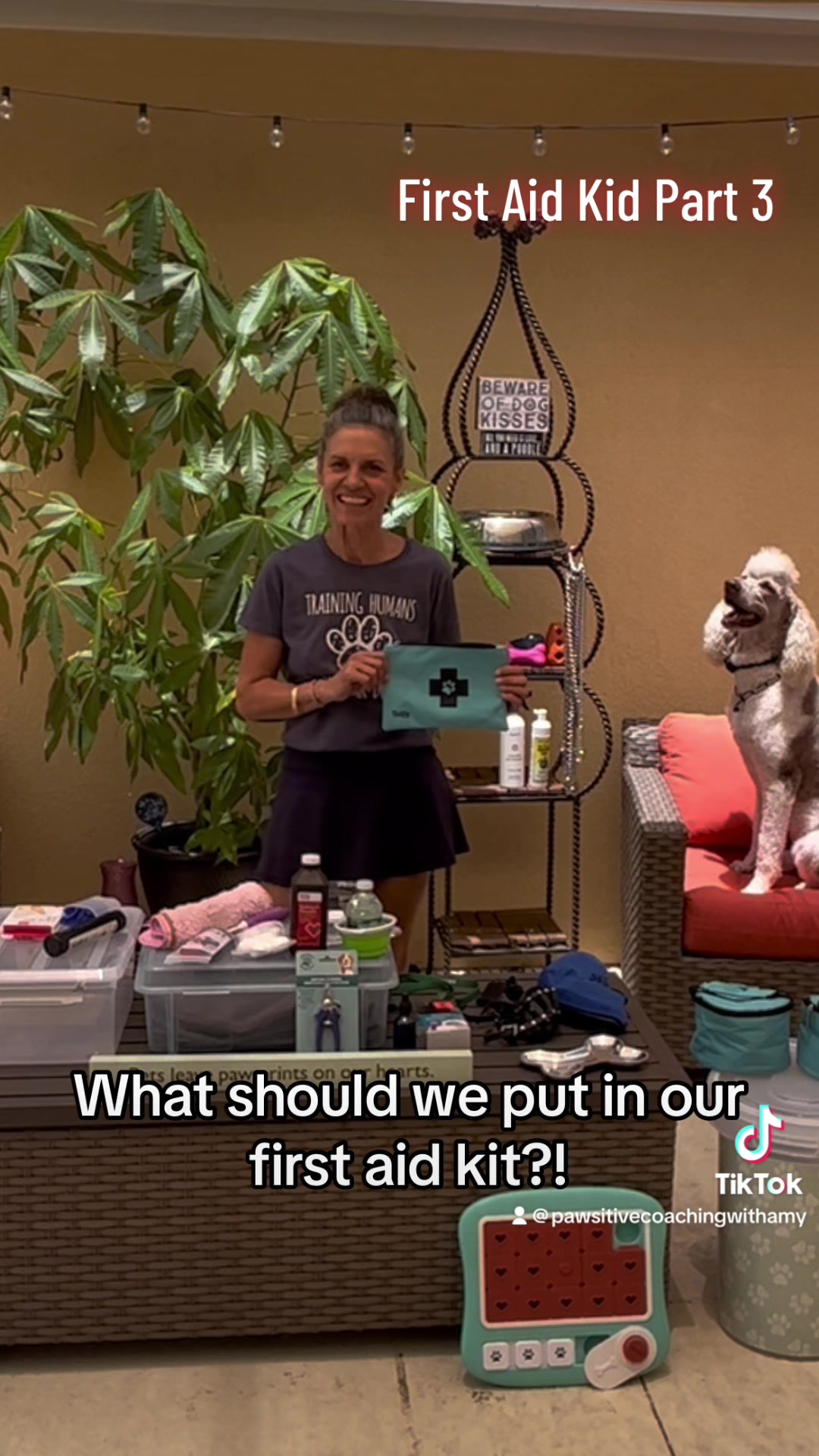 @Pawsitive Coaching with Amy