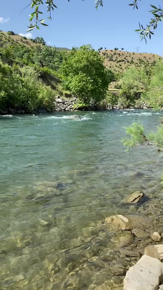 @Mahfuz Toprak