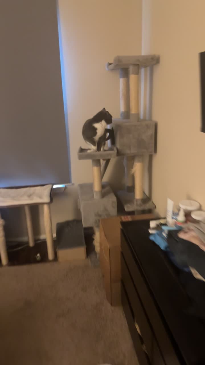 @glorp
