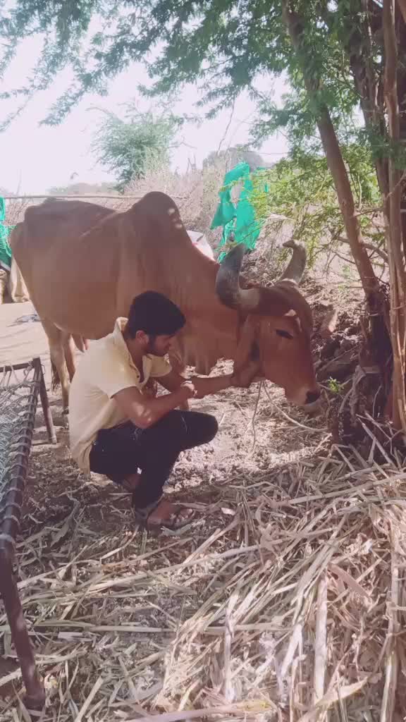 @Vishal Bambhava
